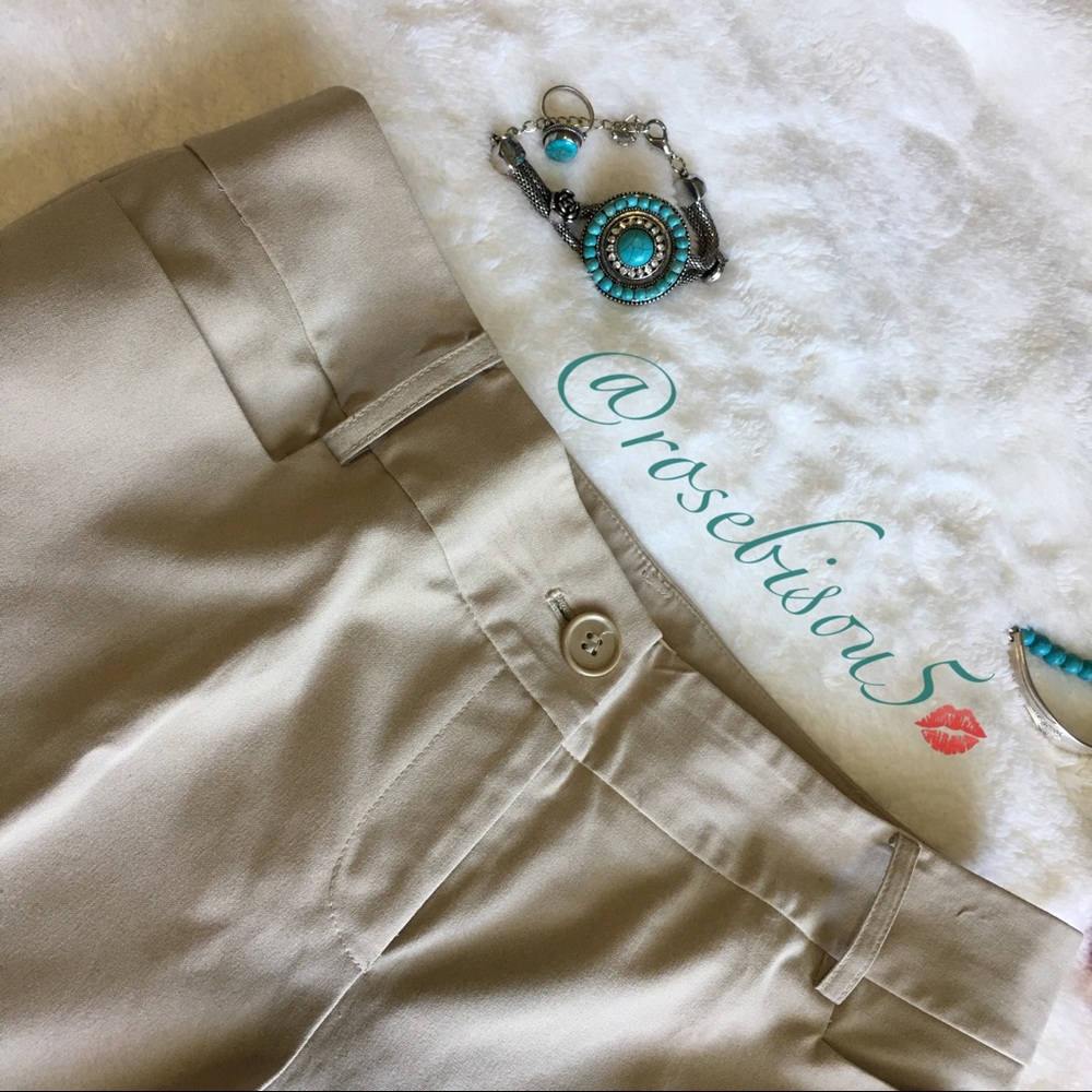 {ANN TAYLOR LOFT} MARISA Dress Pant